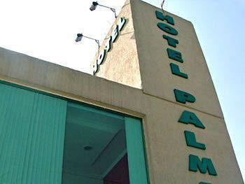 Palmar